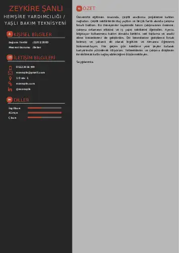 Hasta ve Yaşlı Bakım Elemanı Cv Örnekleri cv indir